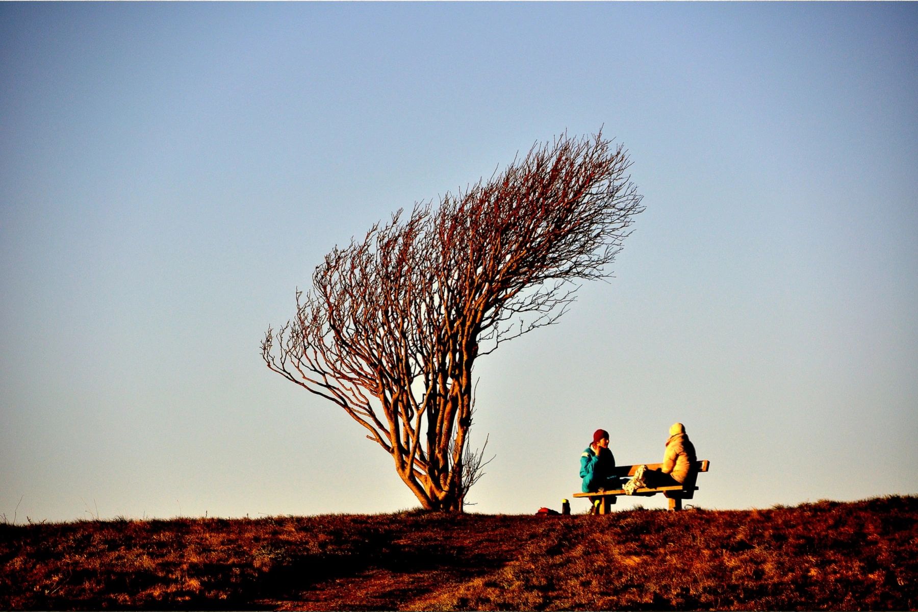 Motiv-Akustikbild Akustikbild Leuchtturm im 3er Set (Sylt)