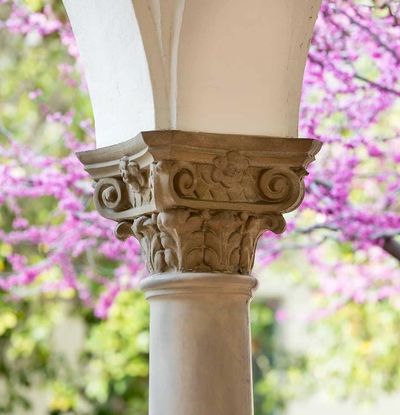 Close-up of a classical stone column with ornate capital and blooming pink flowers in the background.