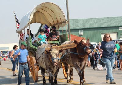 Home  Newell Ram Sale