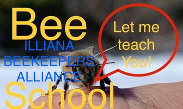 Honey Bees — Louisiana Ag in the Classroom