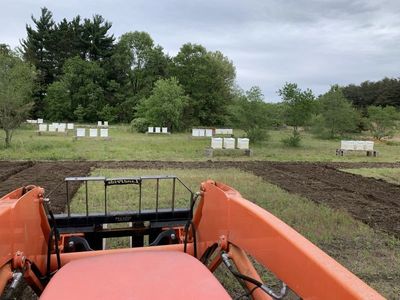 Planting Pollinator Gardens for Honey Bees, Native Bees, and Butterflies provides  nectar and pollen