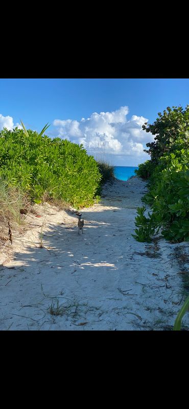 Sandy pathway to the beach, just a short 2 minute walk from our home.