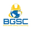 Bliss Global Occupational Safety Consultancy