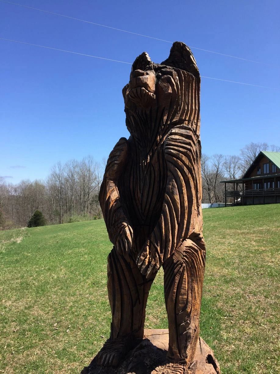 Hilltop Hideaway Log Cabin Resort — photo 28 of 43
