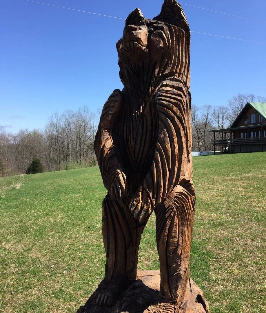 Hilltop Hideaway Log Cabin Resort — photo 37 of 43