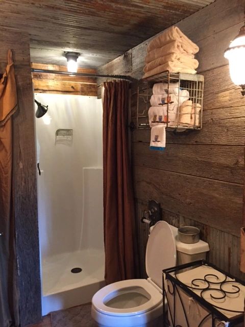 A rustic bathroom with a toilet, shower, and wooden accents.