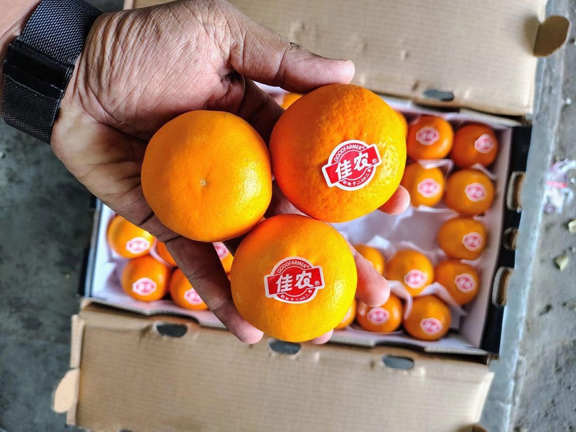 Premium Quality Selection