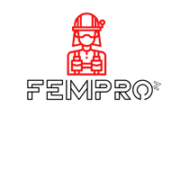 FemPro