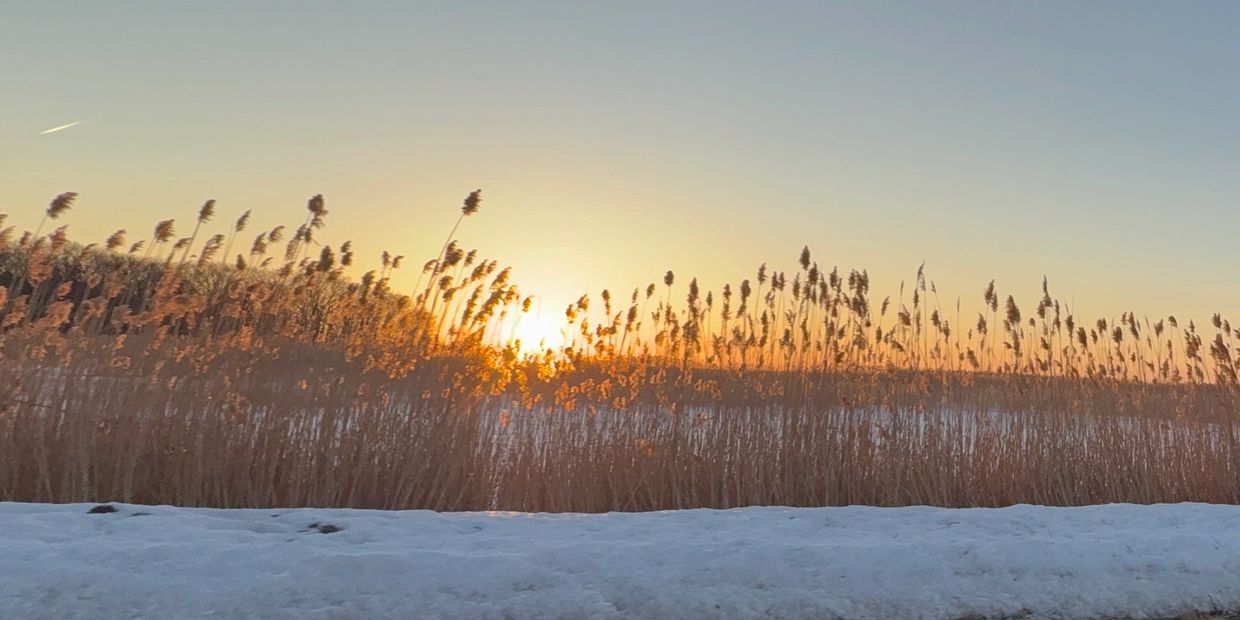 Sunrise over Salisbury MA marsh grasses