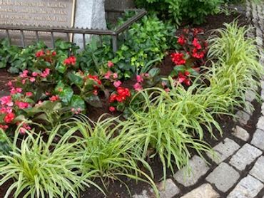 Vibrant flower bed with red flowers and lush green foliage bordered by cobblestone path.