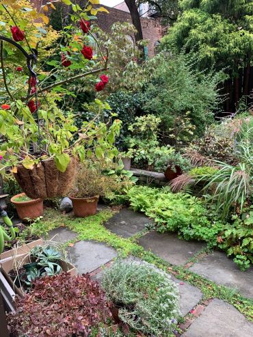 Lush backyard garden with paving stones and vibrant plants.