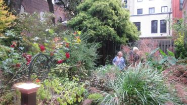 Two people in a lush garden with green plants and flowers.