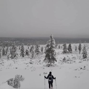 Inari,Finland ,lumikenkäily