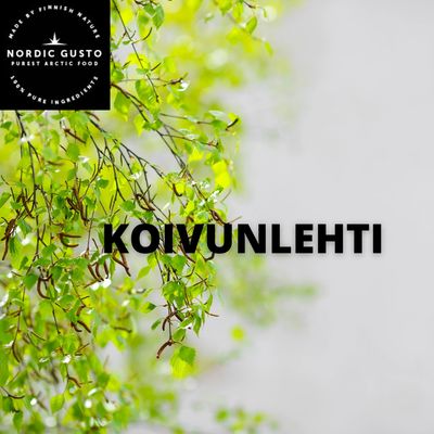 Koivunlehti 