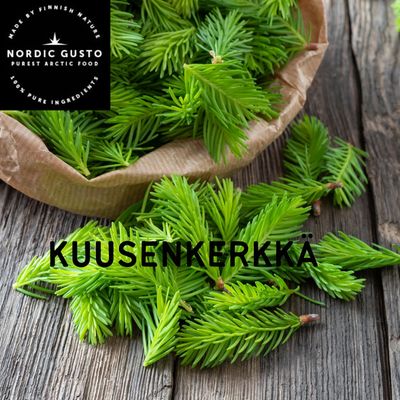 Kuusenkerkkä