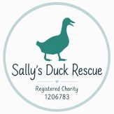Sally's Duck Rescue
