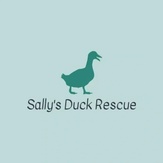 Sally's Duck Rescue