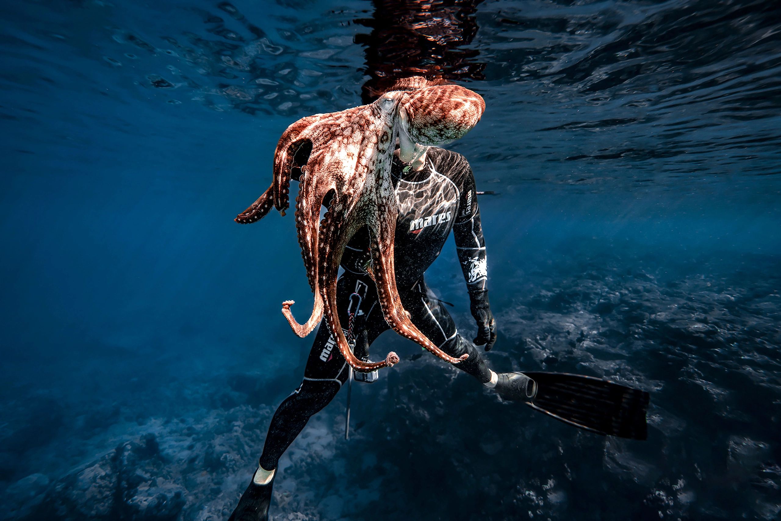 Premium Octopus Excursion & Photo Session