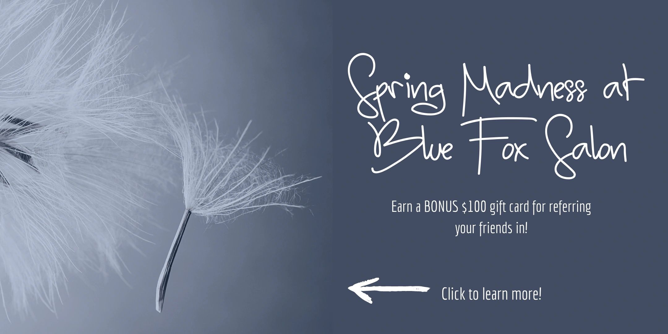 Blue Fox Salon Pulp Riot Egg Harbor Township, New Jersey