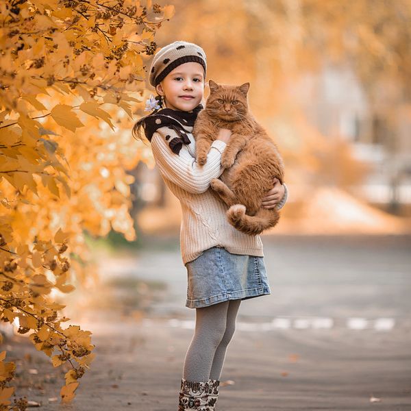 SHOP FOR PET INSURANCE IN ARIZONA 