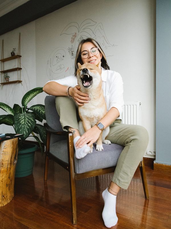 SHOP FOR PET INSURANCE IN ARIZONA 