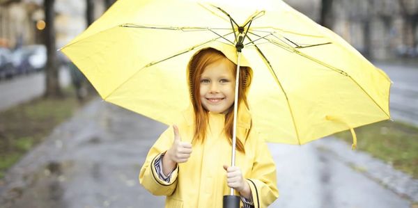 Arizona Umbrella Insurance