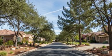 A peaceful suburban street lined with trees and houses under a clear blue sky.