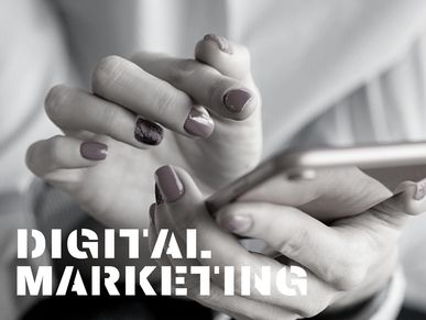 SEO PPC Google Ads Digital Marketing Social Media Management Website Email Marketing Content