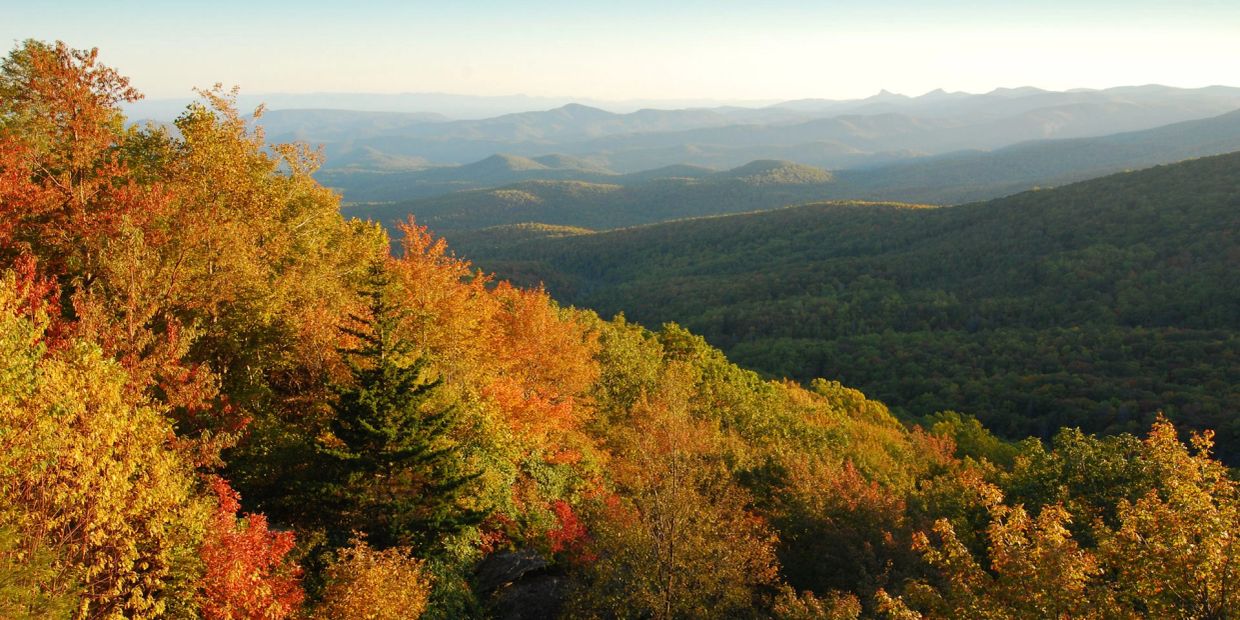 A scenic view of autumn trees and distant mountains.