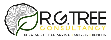 RG TREE consultanc