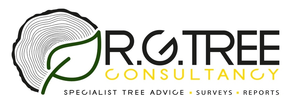 RG TREE consultanc