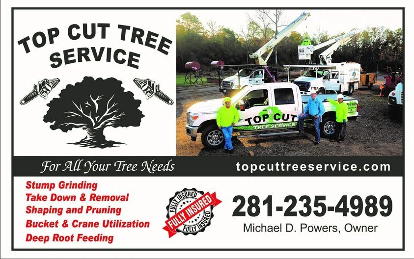 Tree Trimmer Service Buena Park thumbnail
