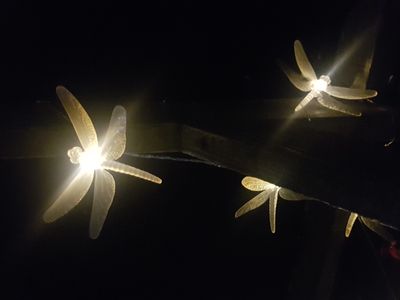 Fairy Flying lights shining the way! 
