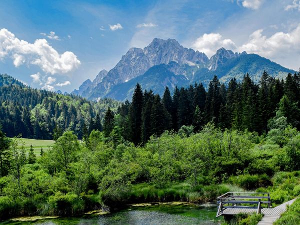 KRANJSKA GORA

https://www.pexels.com/photo/boardwalk-by-lake-in-forest-in-mountains-14516629