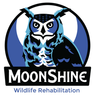MoonShine Wildlife Rehabilitation