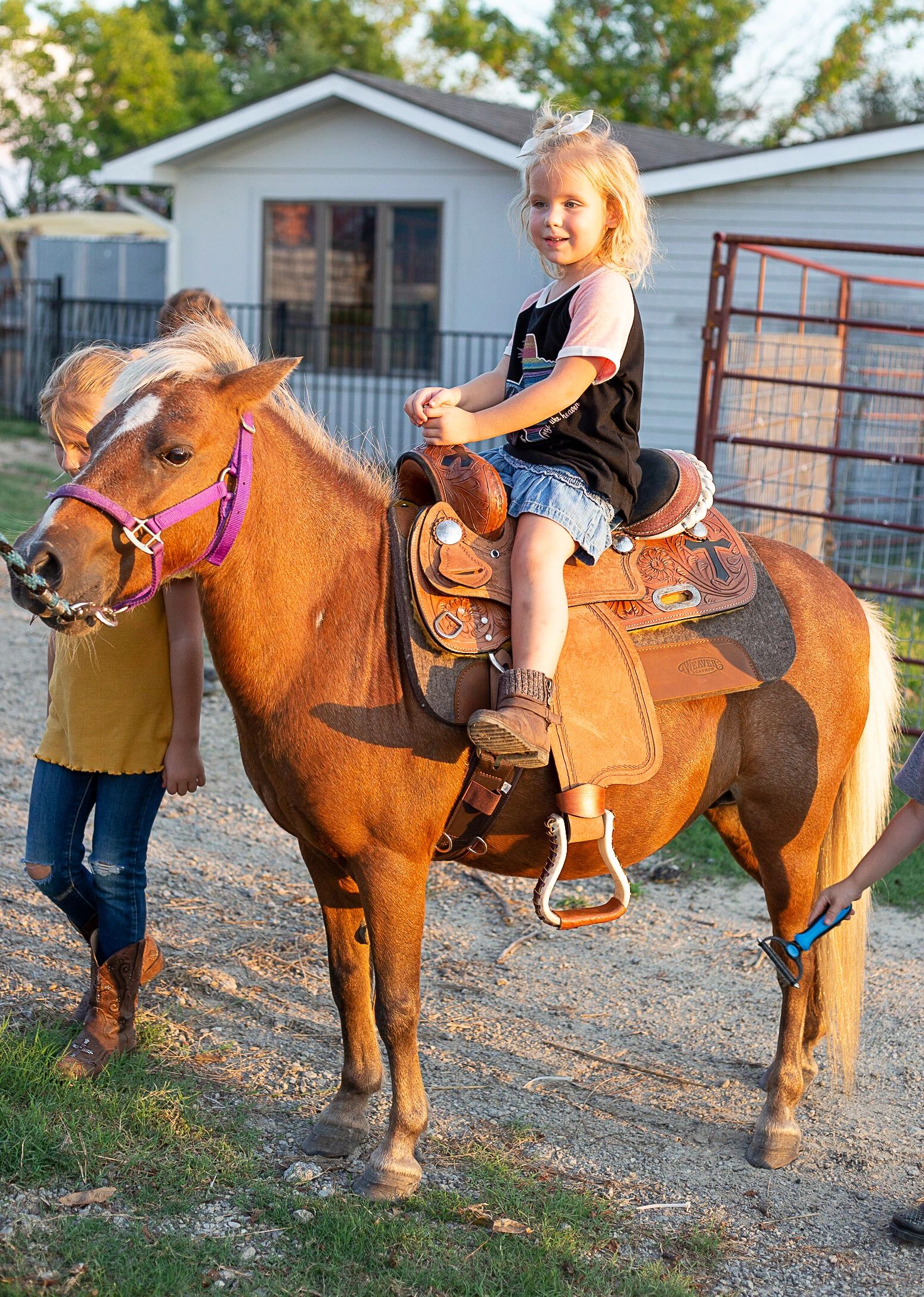 Huddin Homestead Fun Farm