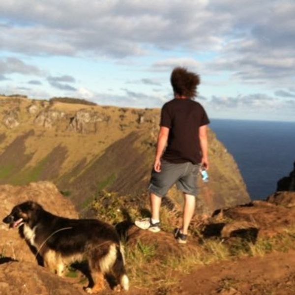 MACROHARD™ wellness origin illustration.