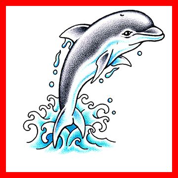 Dolphin Tattoos Dolphin Tattoo Meanings