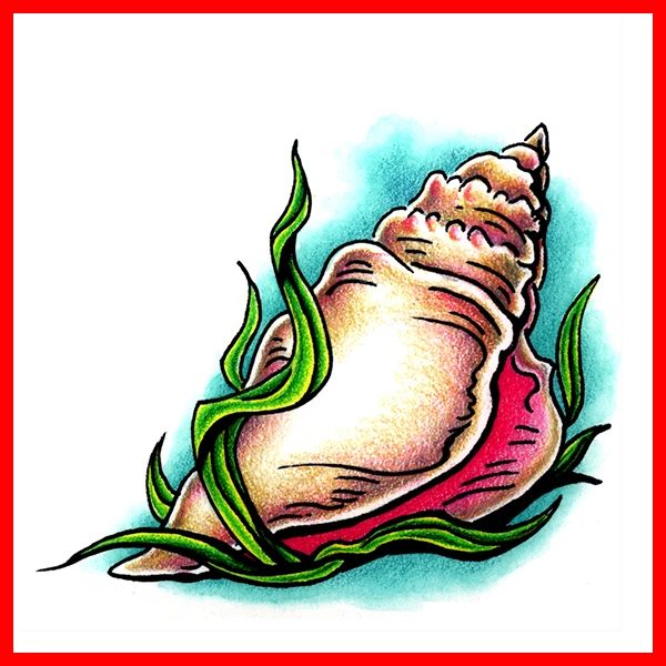 Seashell Tattoos Seashell Tattoo Meanings