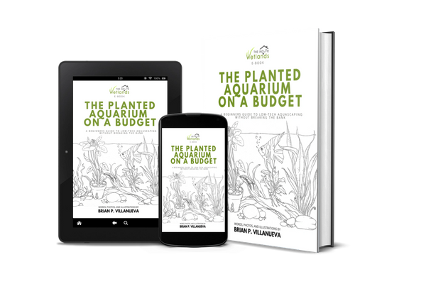 The Indoor Wetlands first e-book on mobile phone, tablet and hardbound cover