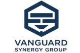 vanguardsynergygroup.com.mx