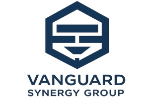 vanguardsynergygroup.com.mx
