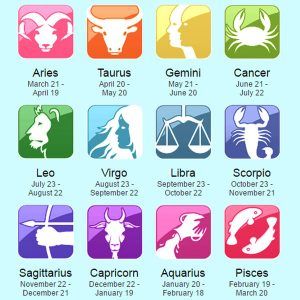 Chinese zodiac illustration