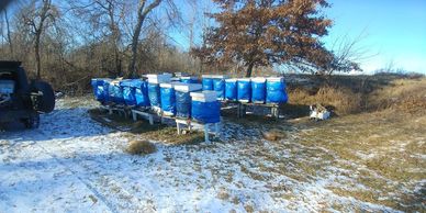This is an overview of our Marshall apiary.  In the past we've tried several insulation types.  