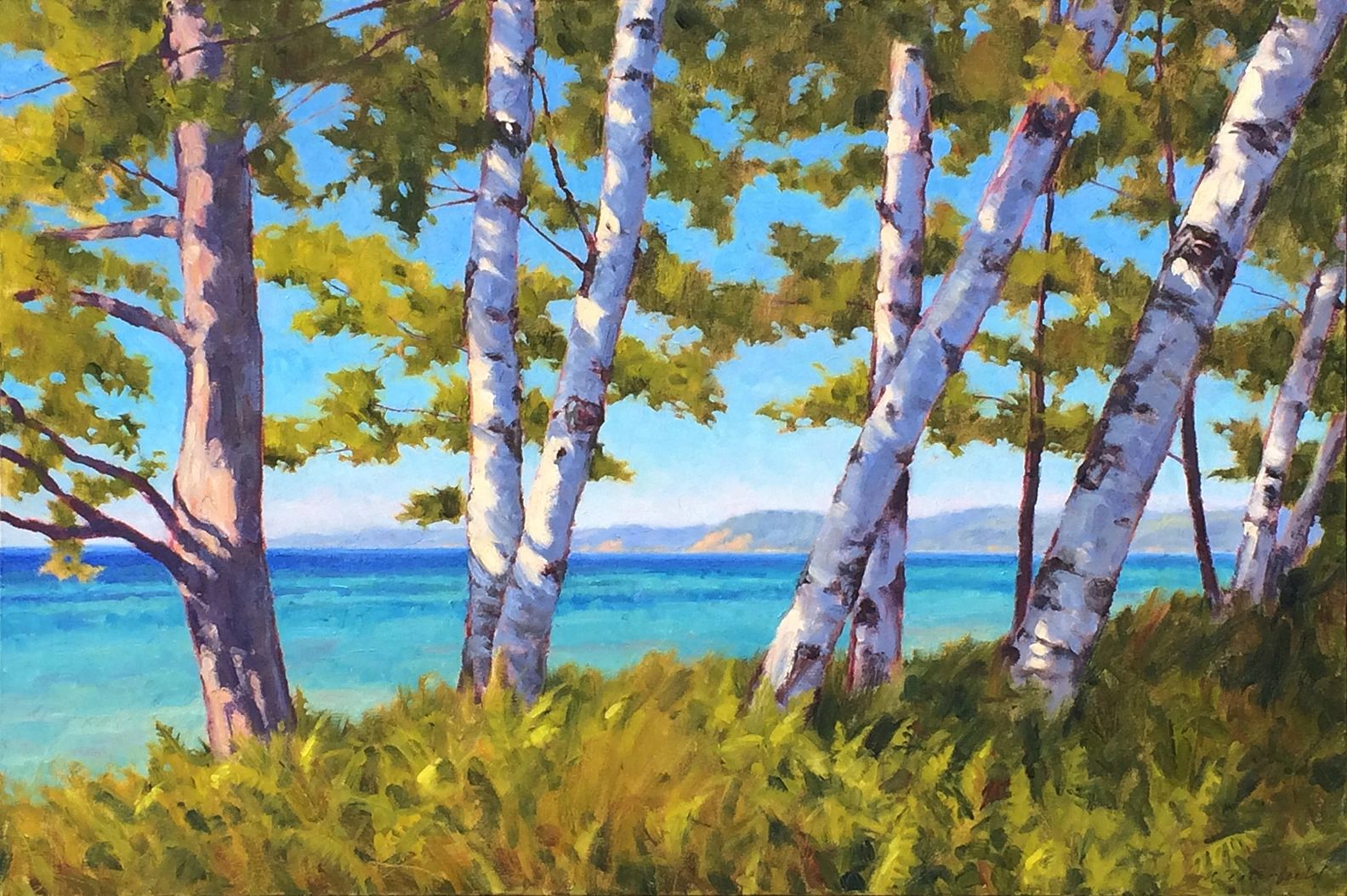 Birch above the shore, 24 x 36