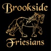 Brookside Friesians