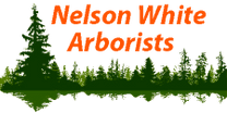 NW Arborists Shawn White's Tree Care,
Jason Nelson