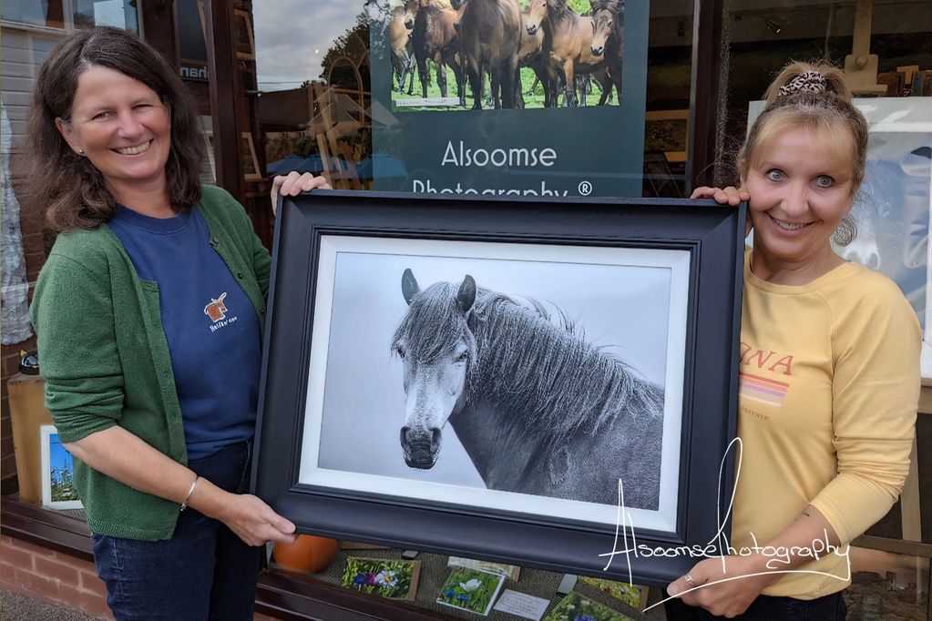 Exmoor pony limited edition framed print  held by photographer Donna Cox and purchaser