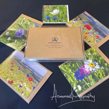 Wildflower greeting cards gift pack contents