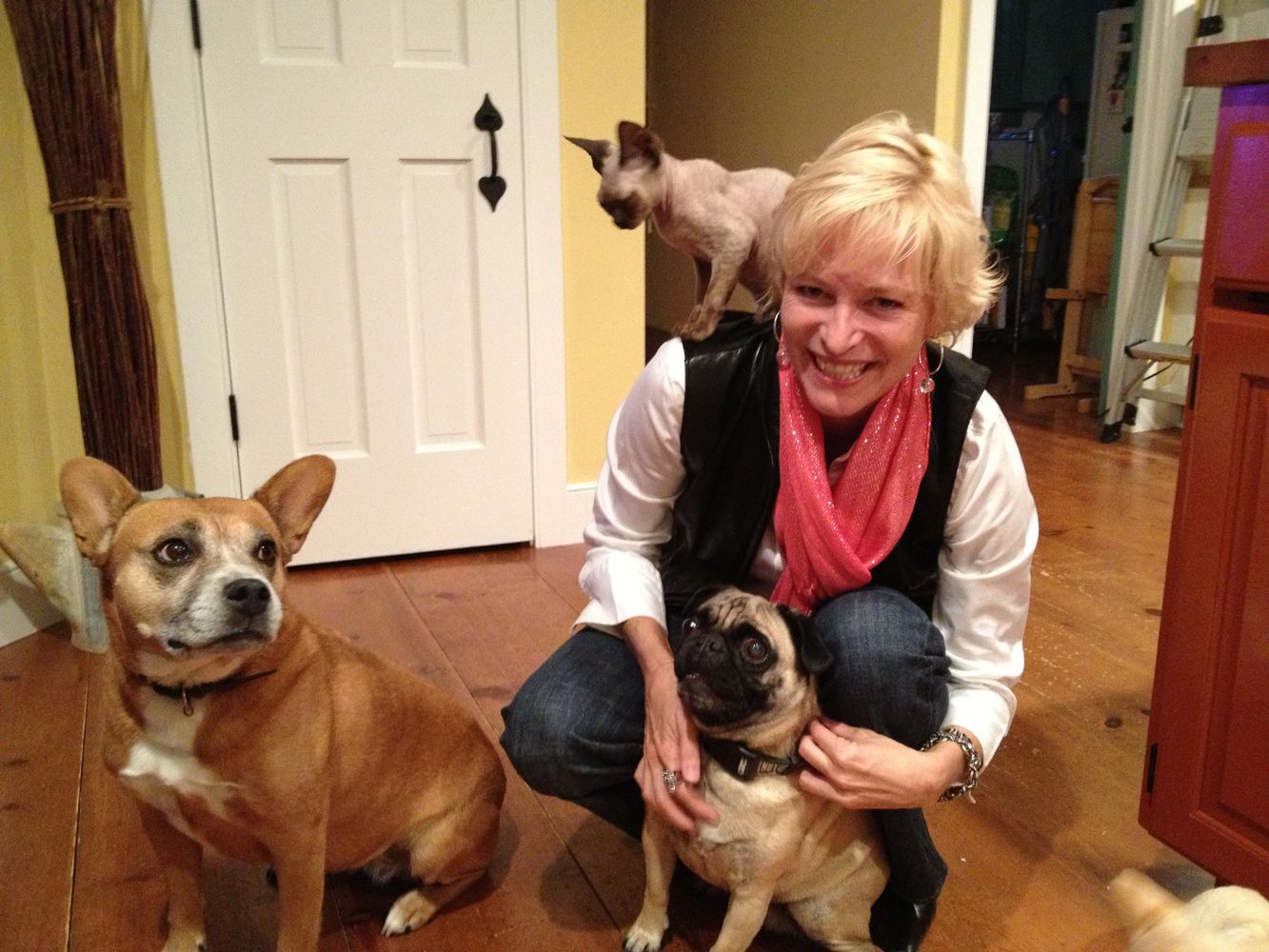 Reining Cats and Dogs professional sitter, Kirsten, pet sitting for dogs and cats in Kirkland.
